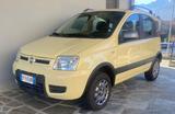 Fiat Panda 4x4 Panda 1.2 Climbing 4x4 - Fiat Panda Cabrio Gebrauchtwagen