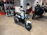 Honda MSX 125 Grom 2025 White *Tageszulassung 08-25* - Honda MSX125 Grom