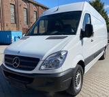 Mercedes-Benz Sprinter II Kasten 313 CDI TÜVNEU - Mercedes-Benz Sprinter: 313 Cdi Kasten