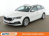 Skoda Octavia 2.0 TDI First Edition Aut. *VC*LED*TEMPO - Skoda Octavia Gebrauchtwagen in Frankfurt
