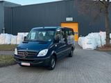 Mercedes-Benz Sprinter 311 - 9. Sitzer - Rollstuhlrampe -64TKm - Mercedes-Benz Sprinter 9 sitzer