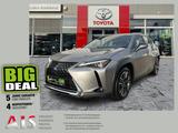 Lexus UX 250h Luxury Line AHK*Schiebedach*HUD*Navi - silberne Lexus UX
