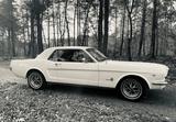 Ford Mustang 1965, 4,7 l V8 , Wimbledon-White - Ford Gebrauchtwagen von 1965