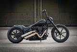 Harley-Davidson FXBRS Softail Breakout 300 Ricks - Offers