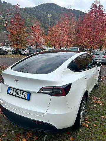 Tesla Model Y Model Y Long Range AWD