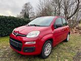 Fiat Panda My Panda - Fiat Panda: My