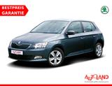 Skoda Fabia 1.0 Ambition Sitzheizung Klima Bluetooth - gebrauchte Kleinwagen in Schwerin