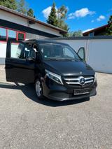 Mercedes-Benz Marco Polo EDITION 250d - Hagelschaden