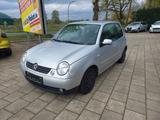 Volkswagen Lupo 1.4 Comfortline - Volkswagen Lupo: Comfortline