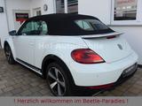 Volkswagen Beetle 1.4TSI DSG R-Line Xenon Navi SHZ 1.Hand - Volkswagen Beetle: Cabrio
