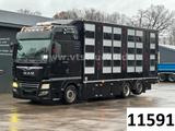 MAN TGX 26.500 4. Stock Menke-Janzen Viehtransporter - MAN Men
