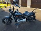 Harley-Davidson Cross Bones  - HARLEY-DAVIDSON CHOPPER CROS BONES