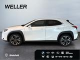 Lexus UX 250h Style Edition *Bi-LED*ACC*CAM*SHZ*CarPla - Lexus Gebrauchtwagen in Berlin
