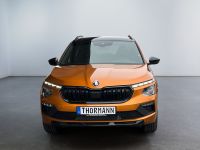 Skoda Kamiq - Vorschau Bild 6