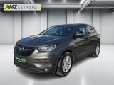 Opel Grandland 1.2 Turbo Edition LED+Navi+SHZ+2xKlima - Opel Grandland (X) Gebrauchtwagen in Leipzig