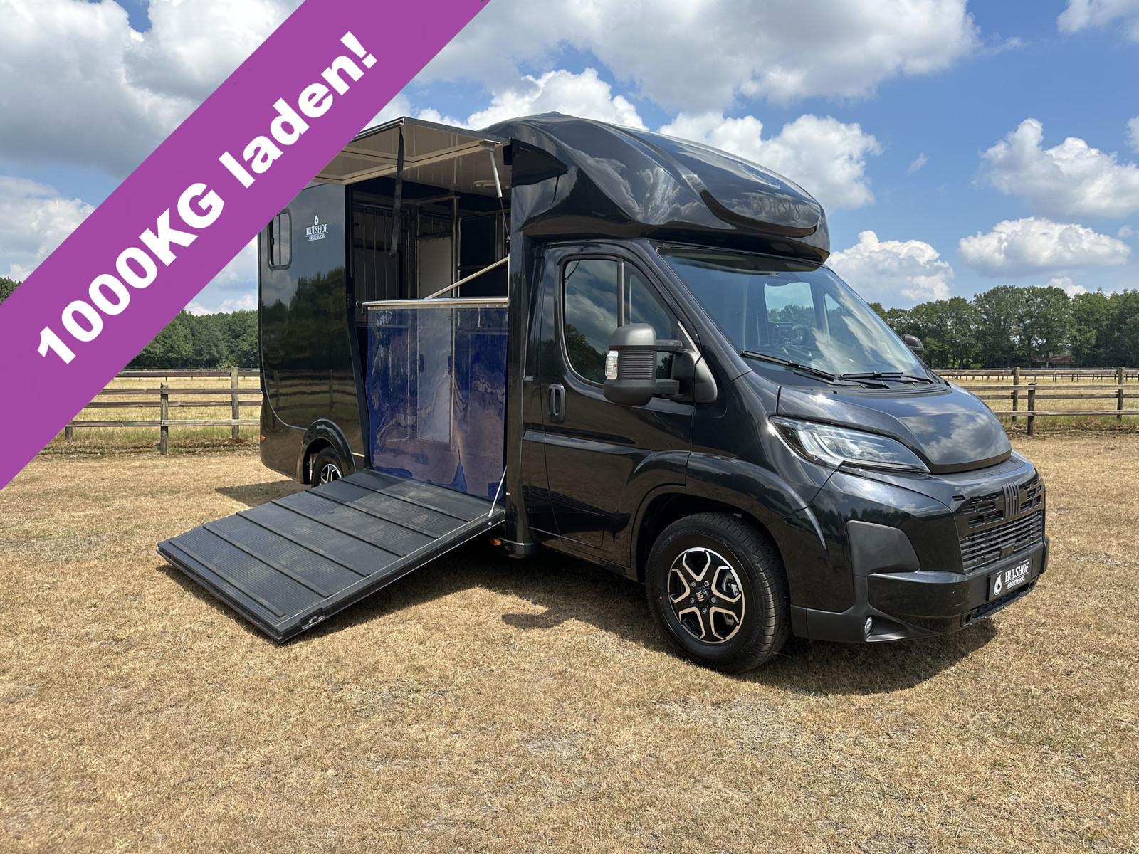 Fiat Ducato 3.65T C1-Rijbewijs 2-paards paardenvracht
