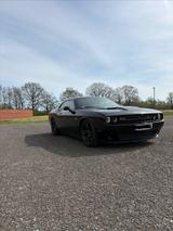 Dodge Challenger 5,7 V8 - Dodge Challenger von privat