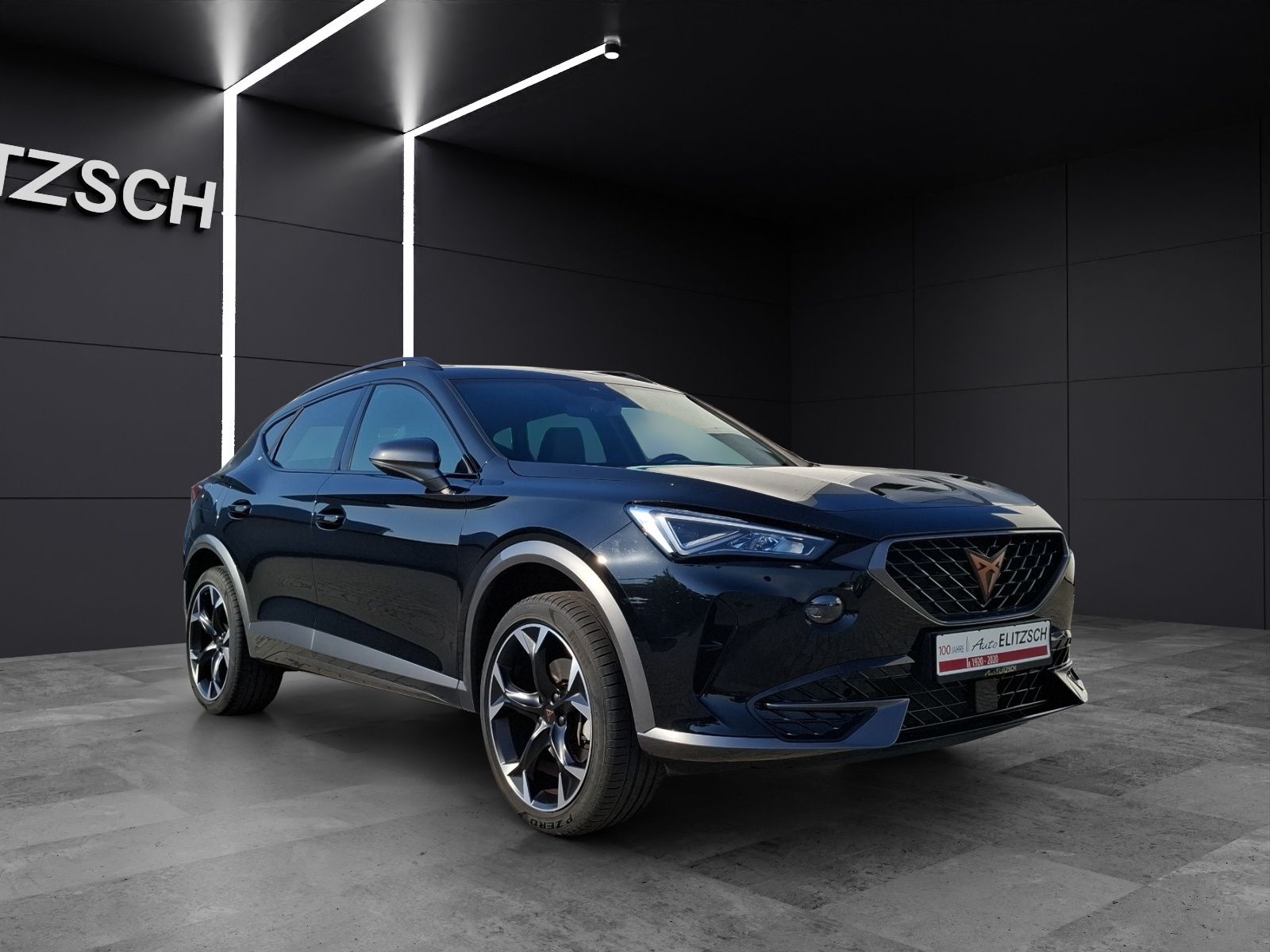 Fahrzeugabbildung CUPRA Formentor TSI DSG LED ACC RFK SH 19"