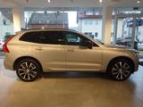 Volvo XC60 Plus Dark B4 FWD - ACC,360°,Standh. - Volvo XC60 in Herne