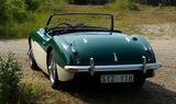 Austin Healey Andere - : Benzin Cabrio 1958