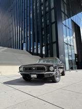 Ford Mustang V8 5.0L, 302 cc, 1968 H-Zulassung - Ford: 302