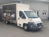 Fiat Ducato Koffer Transporter - Fiat: Transporter
