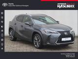 Lexus UX 250h F SPORT Design - gebrauchte Lexus UX aus dem Jahr 2024