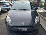 Fiat FIAT Punto 1.2 8V 5PStreet GRANDINATA - gebrauchte Fiat Punto aus dem Jahr 2018
