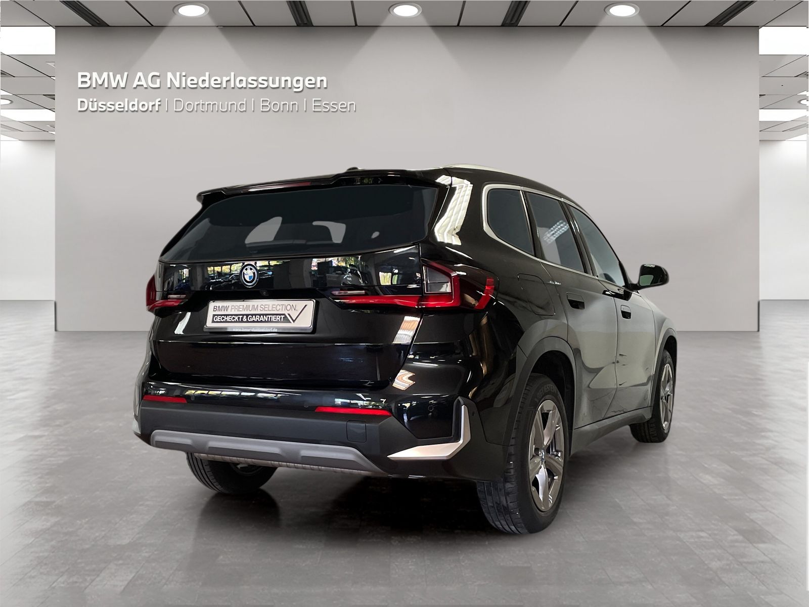 BMW X1 xDrive25e Driv.Assist Harman K Head-Up LED foto 2