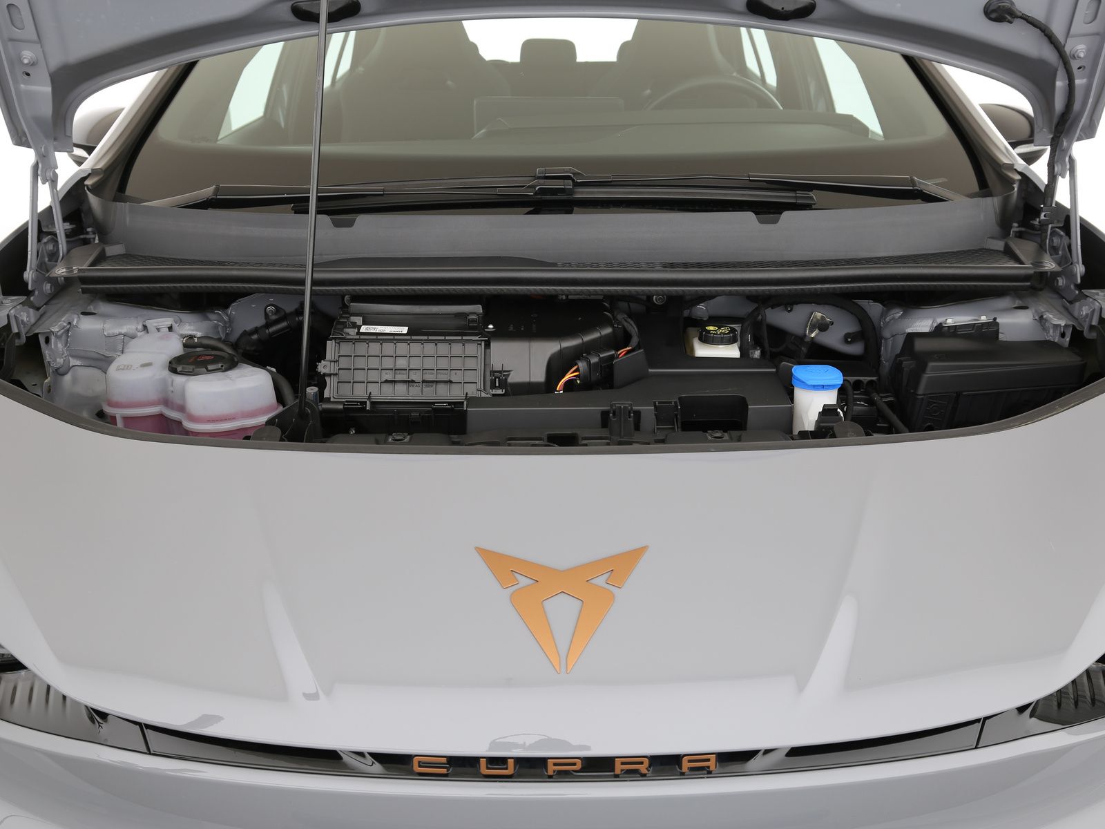 Cupra Born - Bild 27