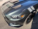 Ford Mustang 2.3 EcoBoost Auto - - Ford Mustang: Cabrio