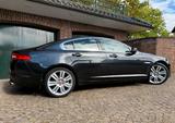 Jaguar XF 2.2 L Diesel - Navi,Xenon,PDC,20Alu,Vollleder - scheckheftgepflegte Jaguar XF