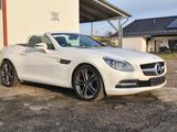 Mercedes-Benz SLK 250 CDI - - Mercedes-Benz SLK-Klasse Diesel Gebrauchtwagen
