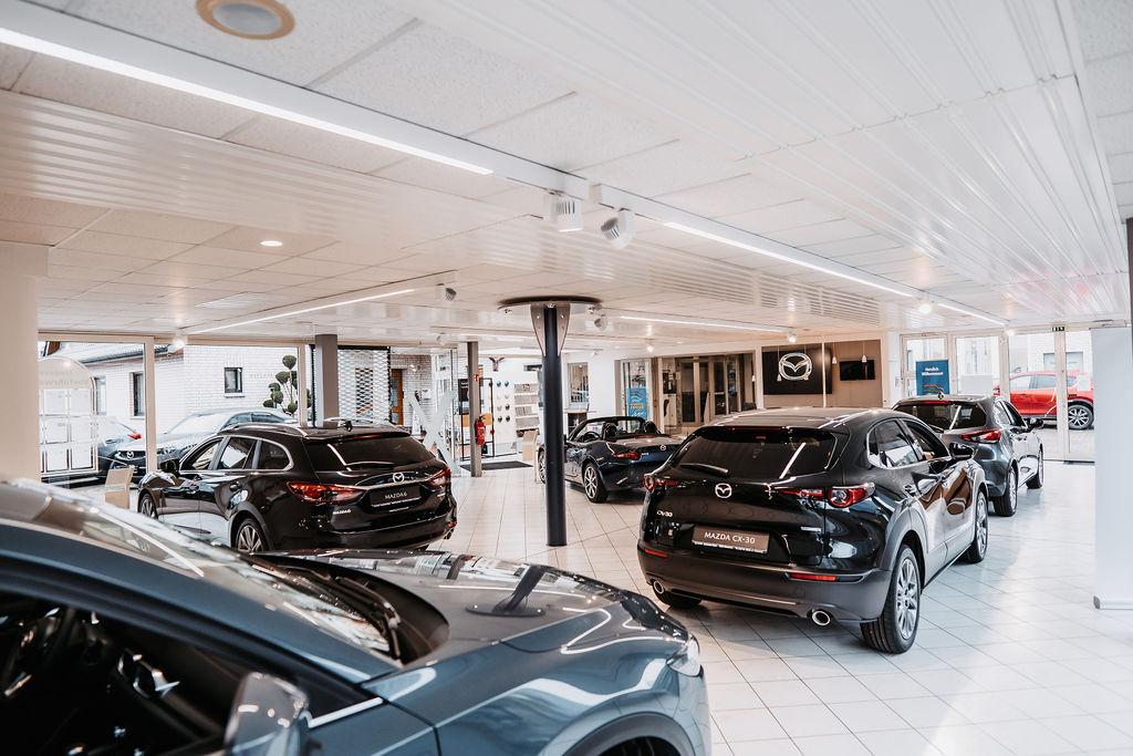 showroom-image-bottom