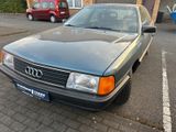 Audi 100 2.3 E/H Zulasung/5 Zylinder/Top gepflegt - Audi 100: 3e