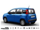 Fiat Panda ICON Hybrid 1.0 GSE KLIMA PDC TEMPOMAT - Fiat Gebrauchtwagen