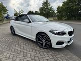 BMW M240i xDrive Steptronic H/K Navi Prof. Cabrio - BMW M-Modelle in Hamburg