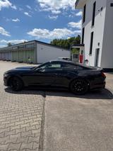 Ford Mustang GT 5.0 Grail H-Pipe - Ford Mustang: 5.0