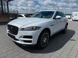 Jaguar F-PACE Pure NAVI AHK BEH LENKRAD WSS - weiße Jaguar F-Pace