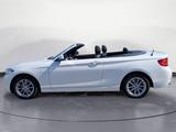 BMW 218i Cabrio Advantage Aut. Navi Business PDC LM - BMW 2er Reihe aus 2019