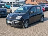 Fiat Panda 1.0 MHEV #CityPaket - Fiat Panda Gebrauchtwagen in Krefeld