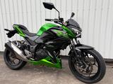 Kawasaki Z 300 mit ABS  - KAWASAKI 300