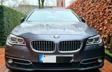 BMW f11 530d Luxury - BMW 530: 530d F11