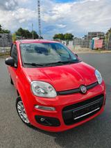 Fiat New Panda 1.2 8V EASY EASY - Fiat New Panda aus 2017