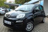 Fiat Panda Easy * Klima * PDC * 1. Hand * - Fiat Panda Gebrauchtwagen in Mülheim (Ruhr)