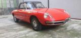 Alfa Romeo Spider 1.6 Duetto "osso di seppia" 1° - Alfa Romeo Gebrauchtwagen von 1967