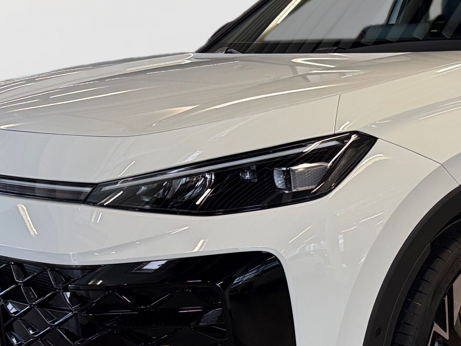 Volkswagen T-Roc - Bild 6