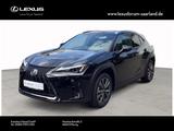 Lexus UX Crossover F-Sport Design FWD - Lexus UX Tageszulassungen
