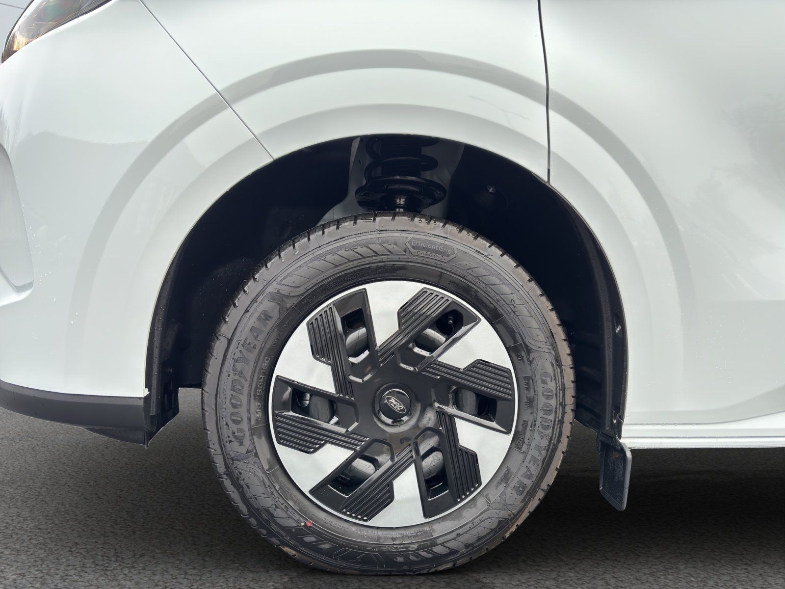 Fahrzeugabbildung Ford Transit Custom 320 L1 Trend Multicab FWD Plug-i