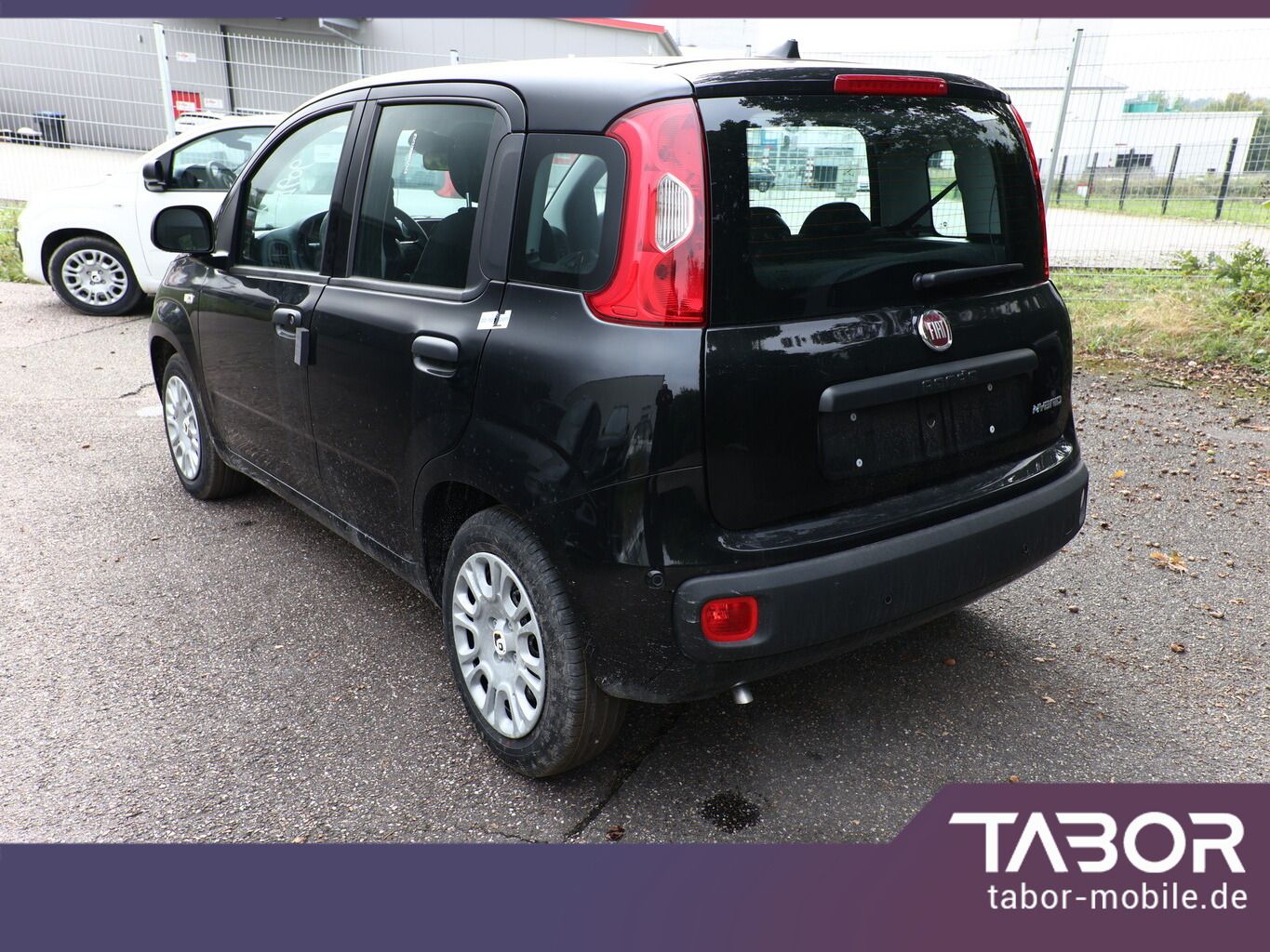 Fiat Panda - Bild 4